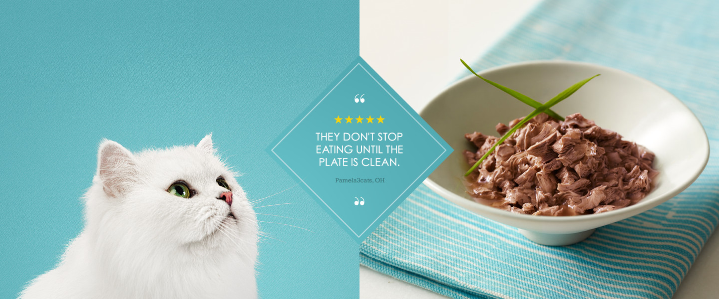 Get a FREE Purina Purely Fancy Feast Cat Food Sample!